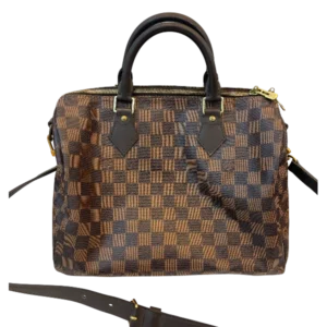 LOUIS VUITTON Damier Ebene Speedy