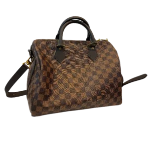 LOUIS VUITTON Damier Speedy