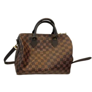LOUIS VUITTON Damier Speedy Bag