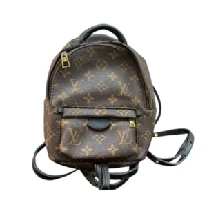 LOUIS VUITTON Palm Springs Backpack Mini